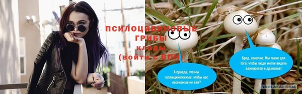 соль курить ск Армянск