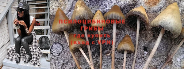 индика Аркадак