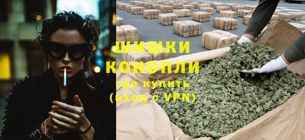 индика Аркадак