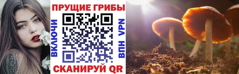 Псилоцибиновые грибы прущие грибы где купить наркоту Верхоянск